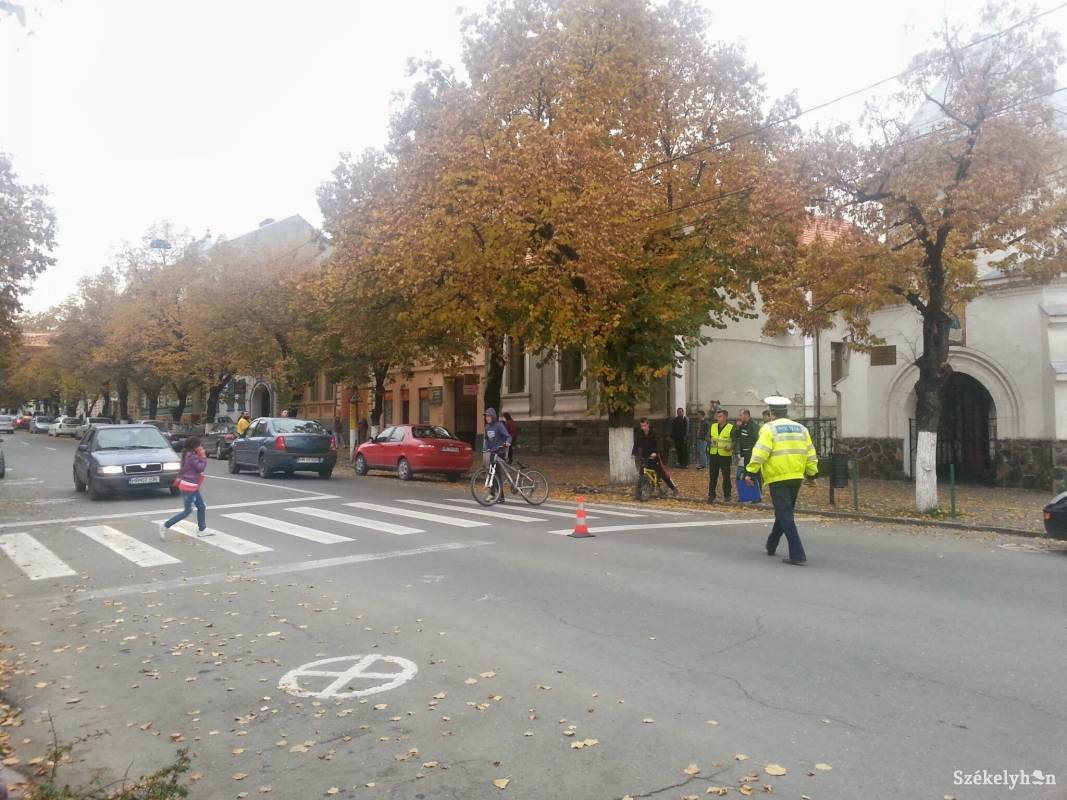 • Fotó: Pál Gábor