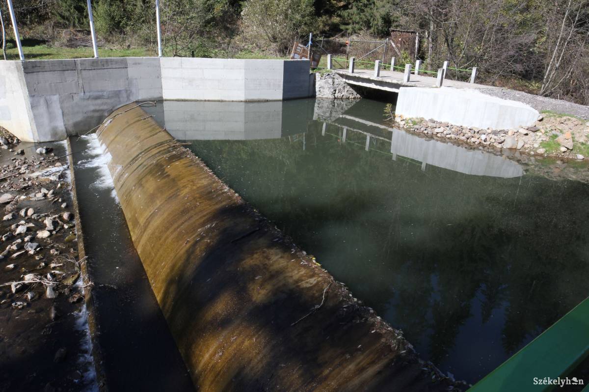 • Fotó: Farkas Antal