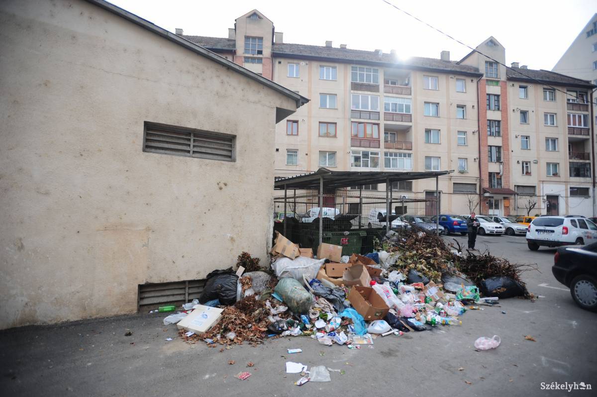 &bullet;  Fotó: Thomas Campean