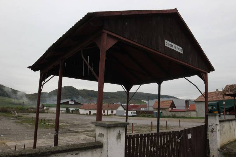 Terület van, pénz még nincs az új állatpiacra