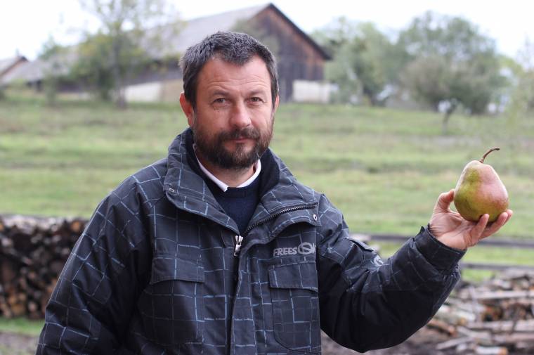 Meghálálták a gyümölcsfák a sok munkát