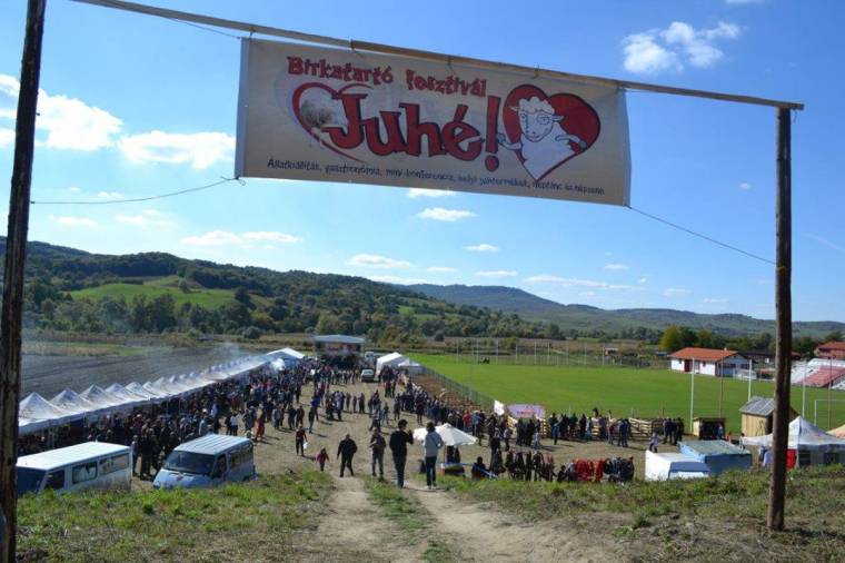 Juhé, fesztivál szombaton!