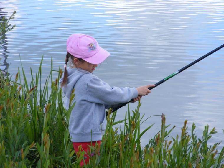 Környezetvédelmi és horgásztáborok a rugonfalvi halastónál