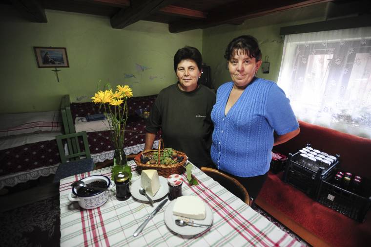 Gyümölcsünnepre fel!