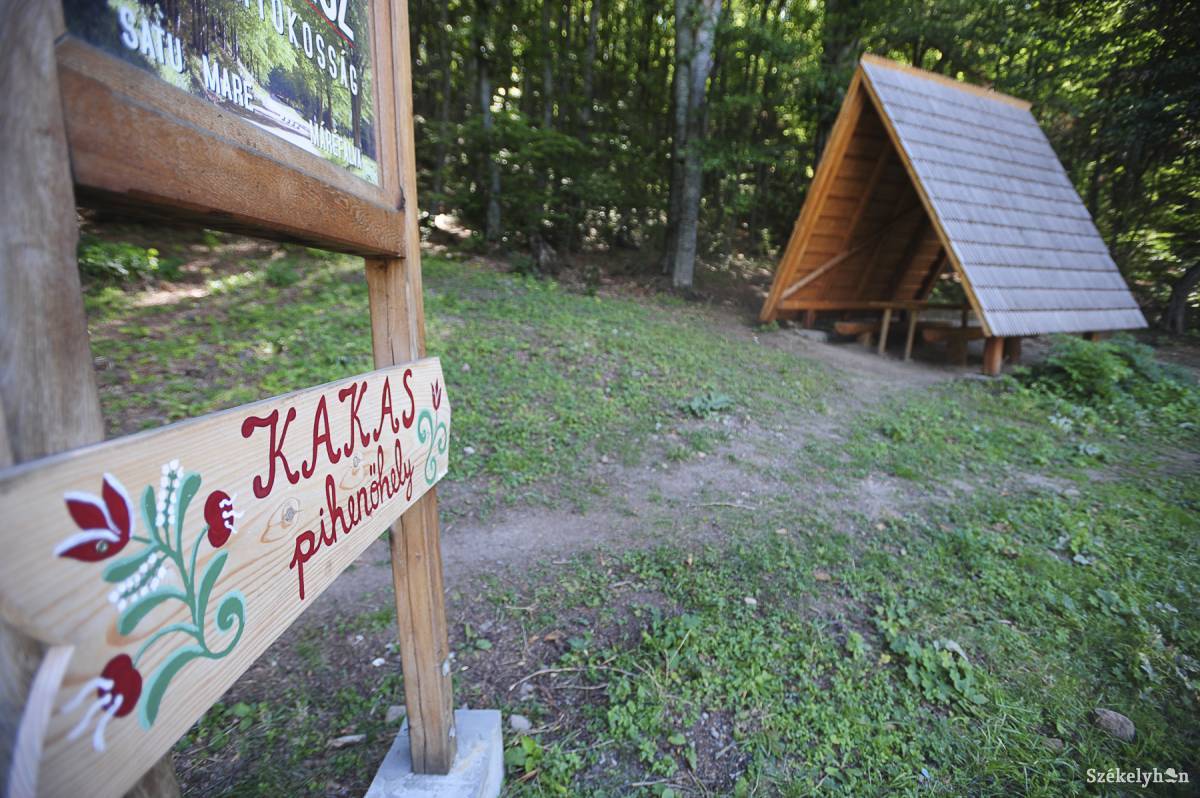 &bullet;  Fotó: Thomas Campean