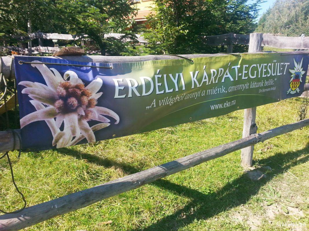 Archív •  Fotó: Pál Gábor