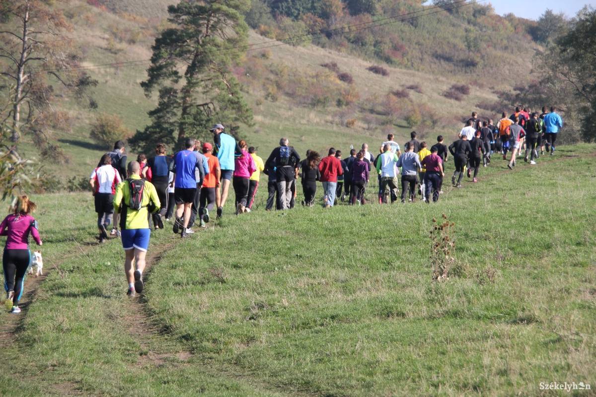 &bullet;  Fotó: Pál Gábor