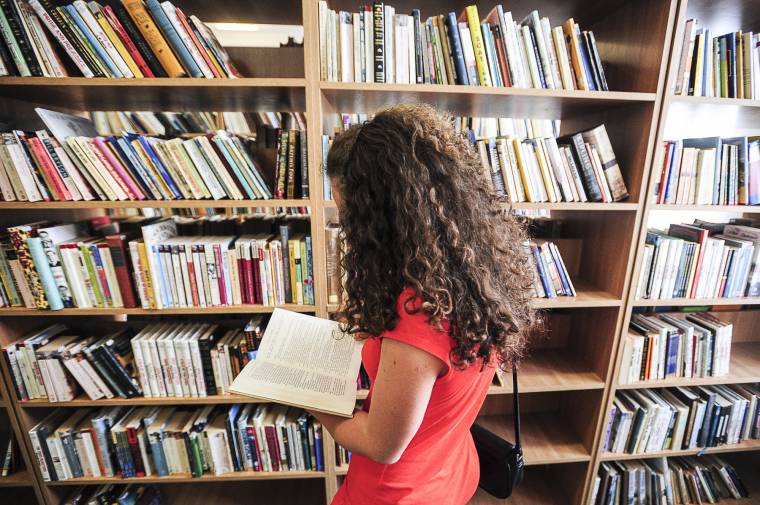 Nyárra hangolt irodalom