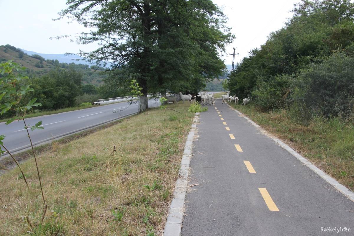 &bullet;  Fotó: Pál Gábor