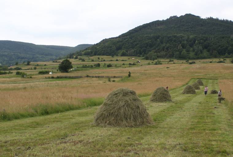 Munkába állnak a „kalandorok”