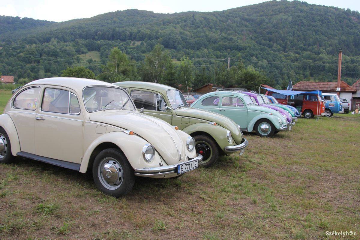 &bullet;  Fotó: Pál Gábor