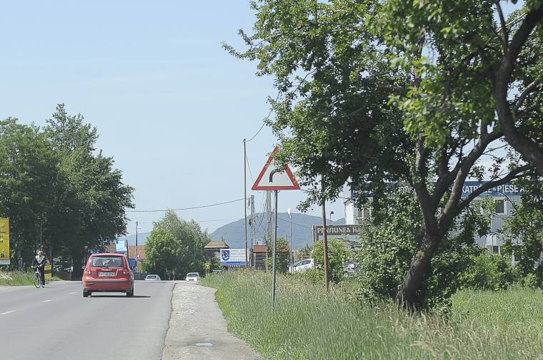 Sok forgalmi táblát sűrű növényzet takar