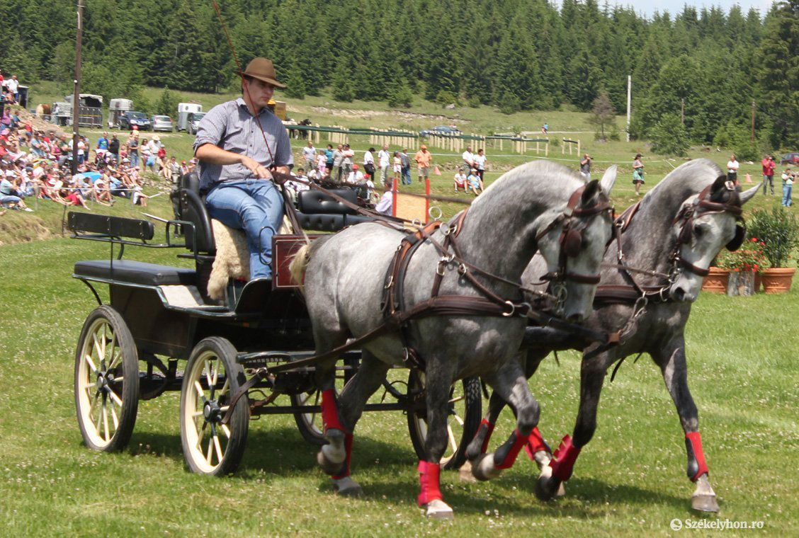 &bullet;  Fotó: Farkas Antal
