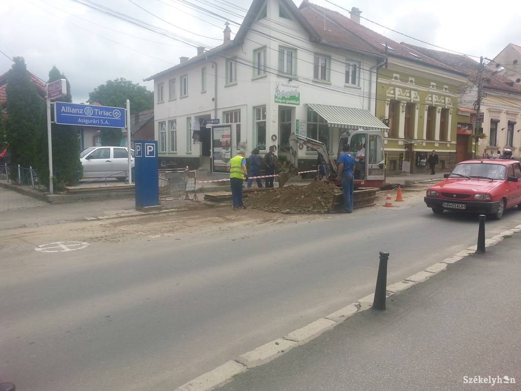 •  Fotó: Pál Gábor