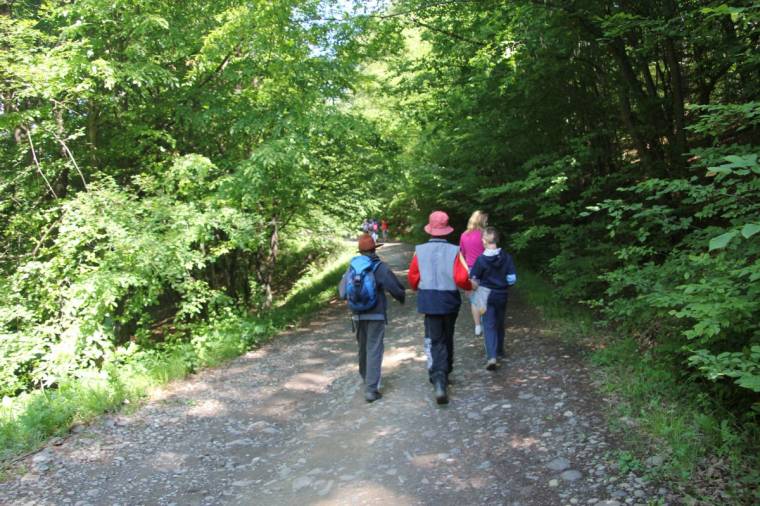 Elhunyt társaikra emlékeznek az ekések