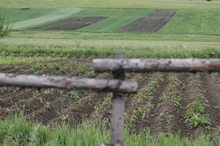 A DNA vizsgálódik egy területalapú támogatás ügyében