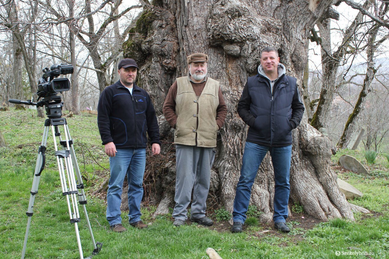 •  Fotó: Farkas Antal