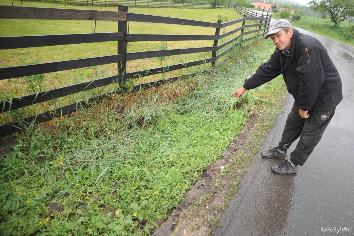 &bullet;  Fotó: Thomas Câmpean