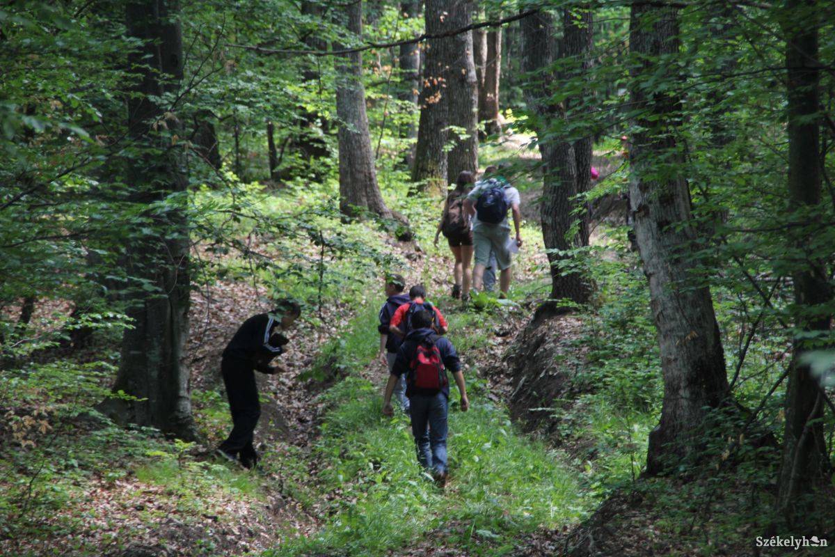 • Fotó: Simon Eszter