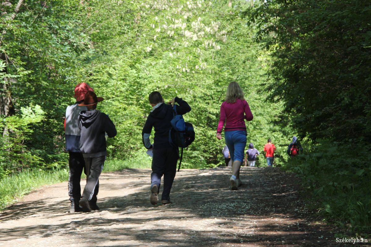 • Fotó: Simon Eszter