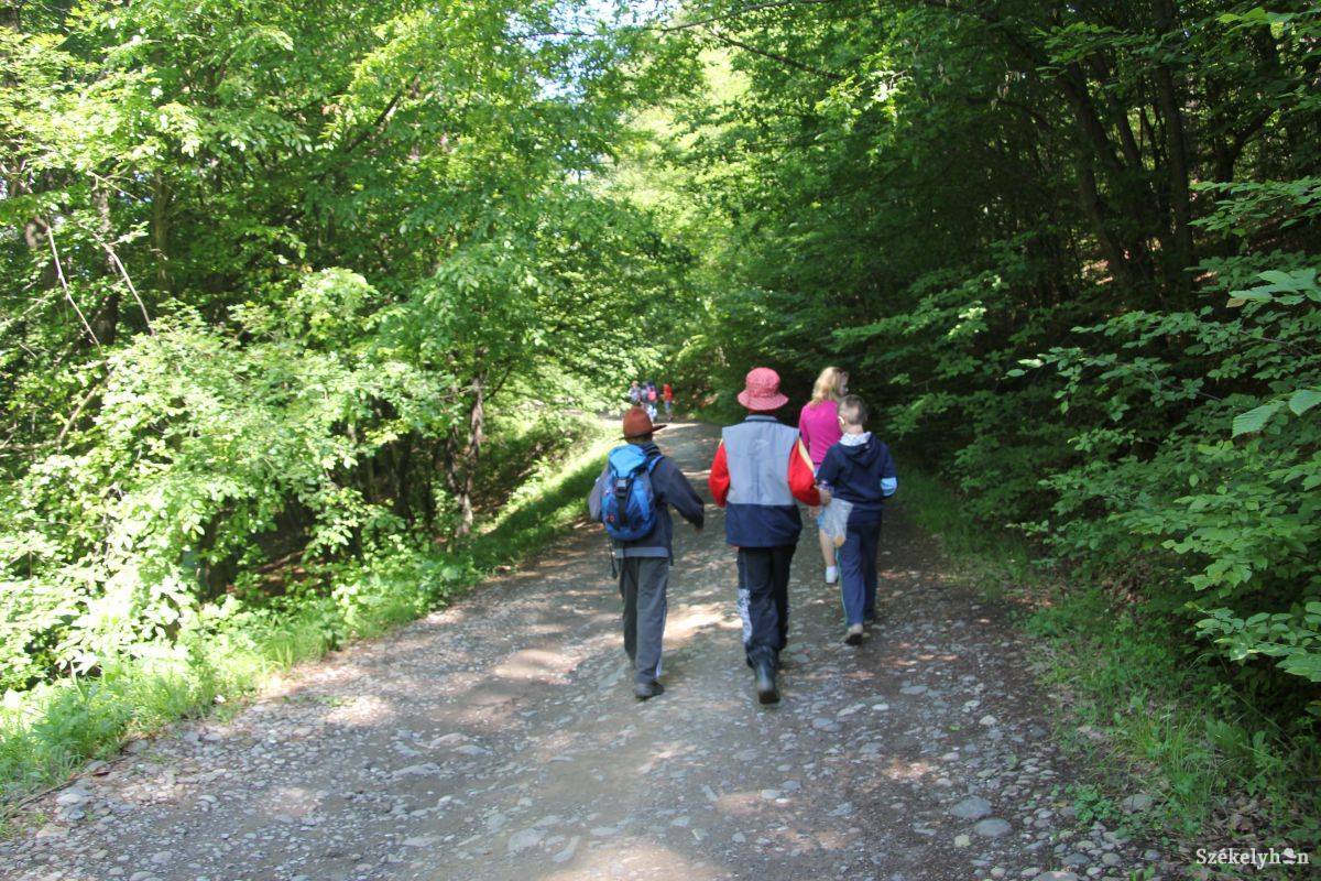 &bullet;  Fotó: Simon Eszter