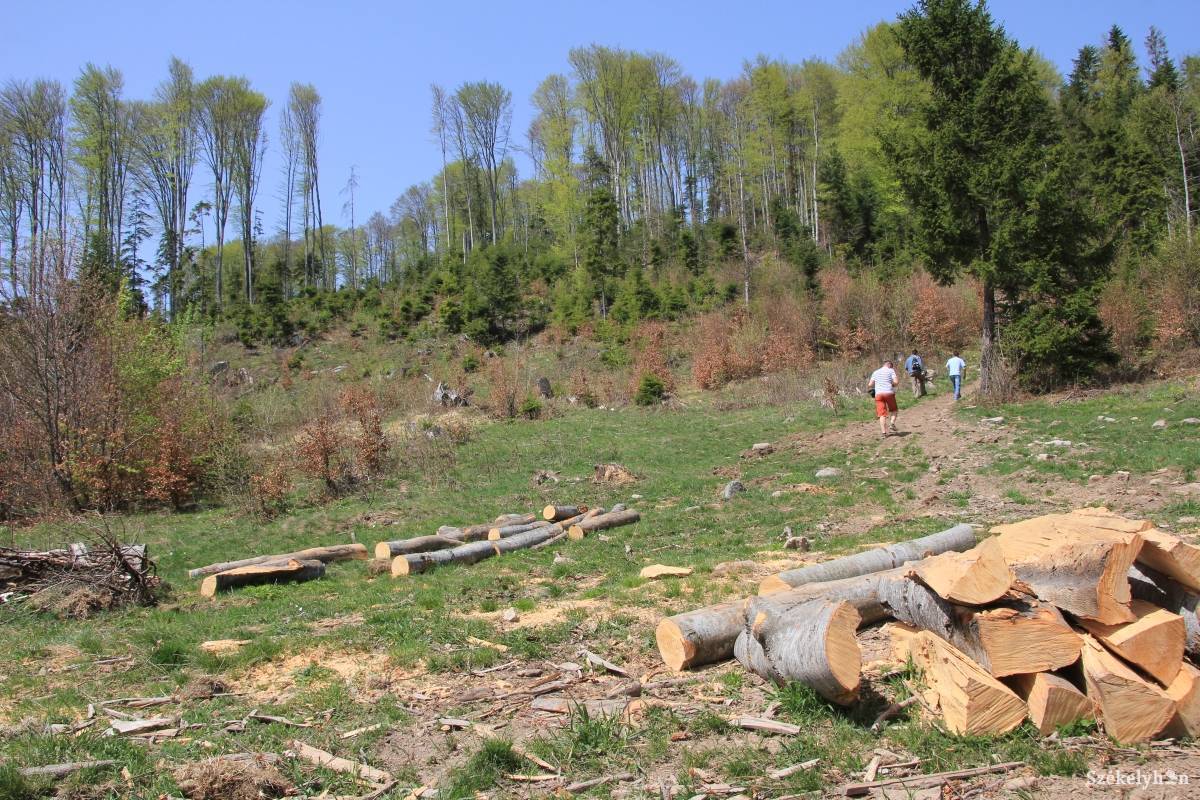 &bullet;  Fotó: Pál Gábor