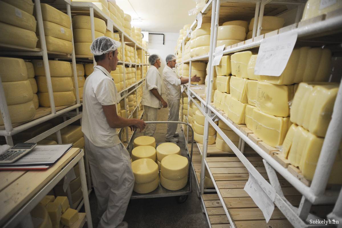 &bullet;  Fotó: Thomas Campean