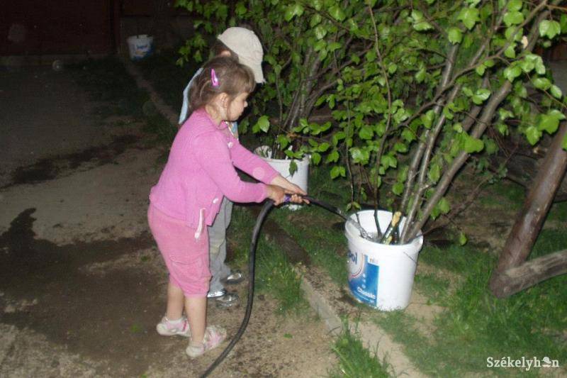 • Fotó: Zinner Emőke