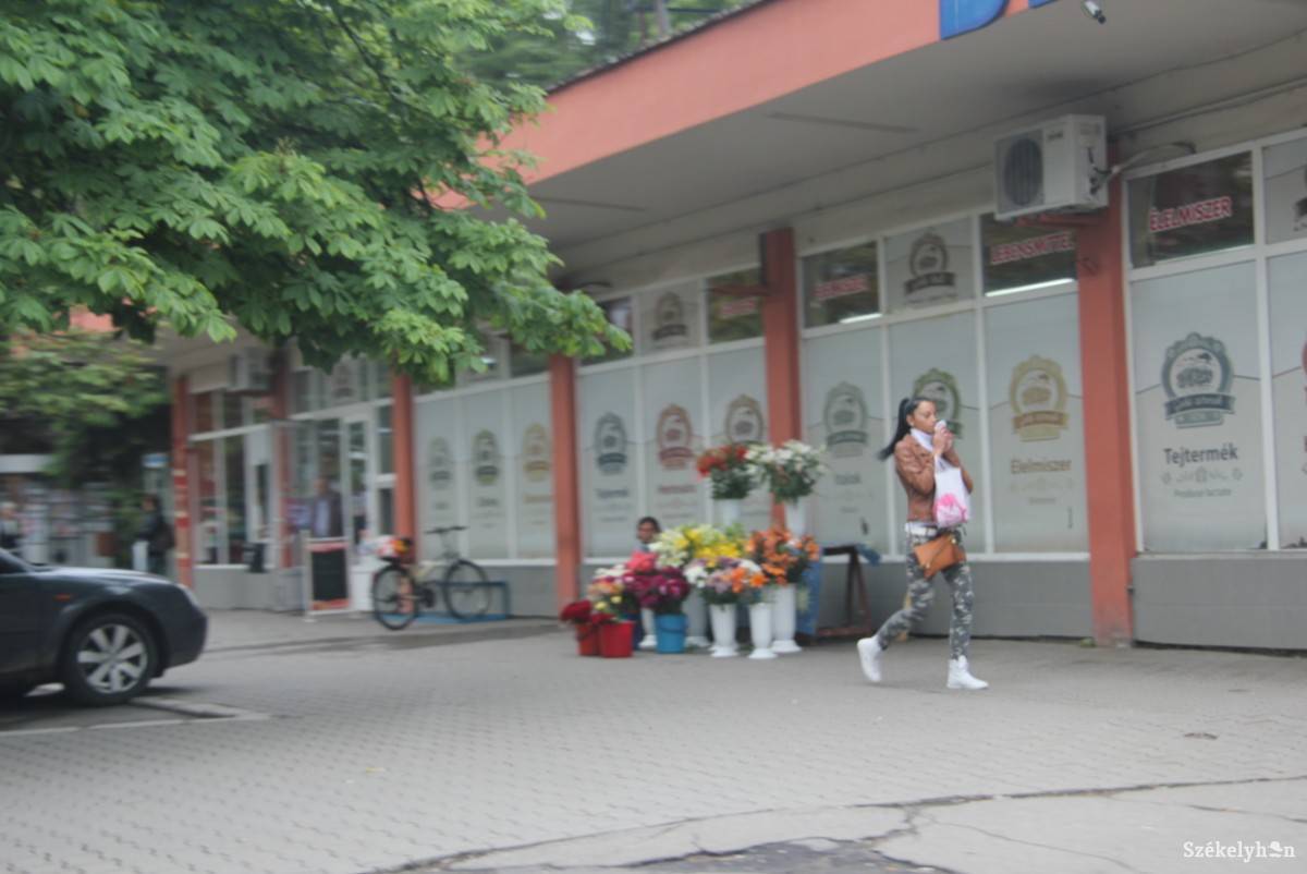 • Fotó: Pál Gábor