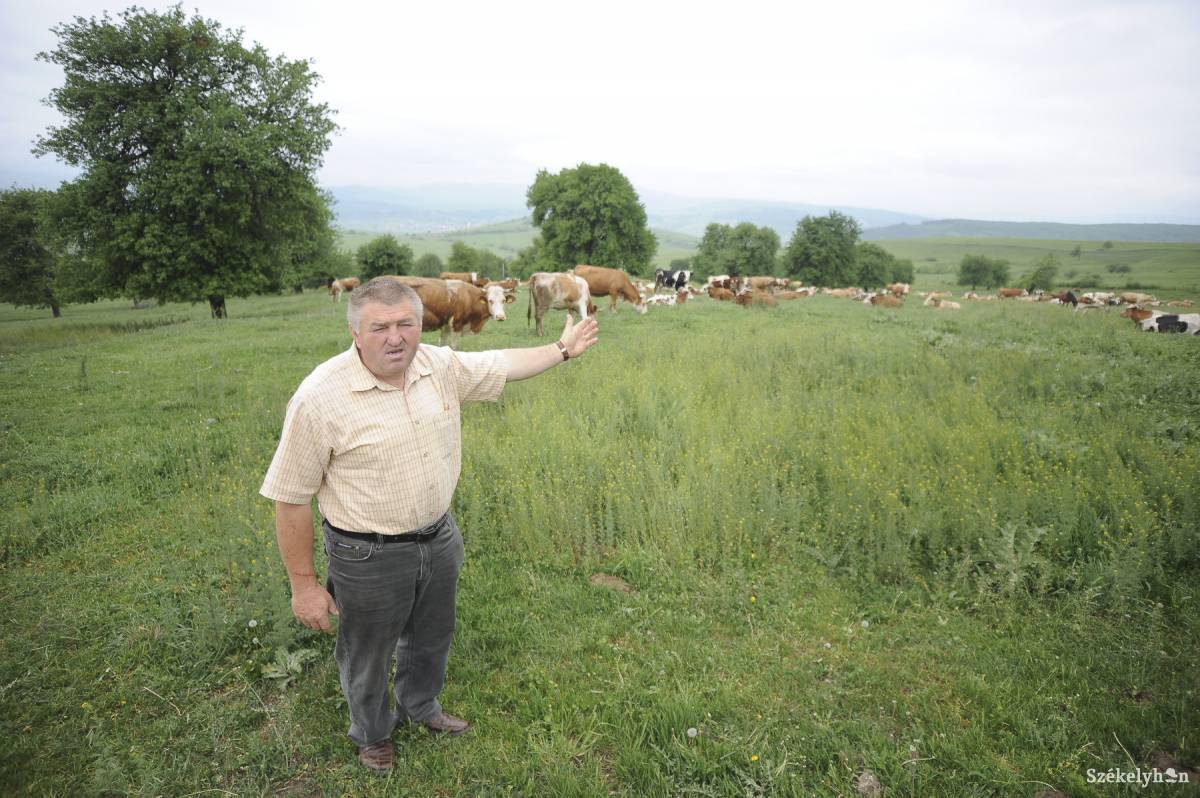 &bullet;  Fotó: Thomas Câmpean