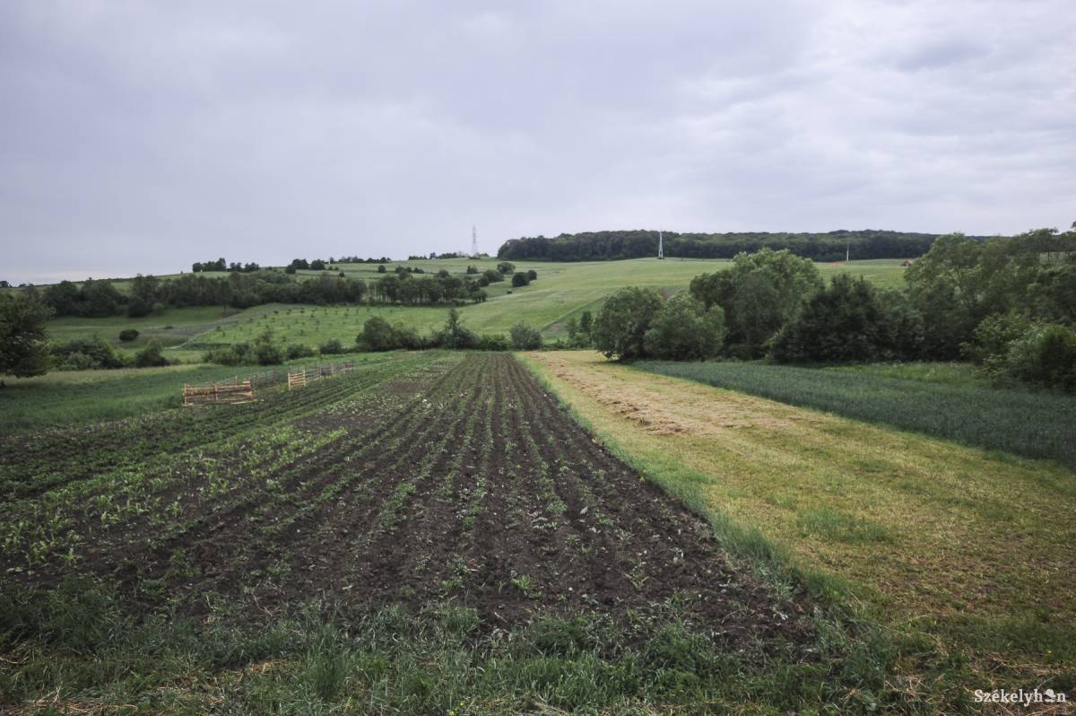 &bullet;  Fotó: Thomas Campean