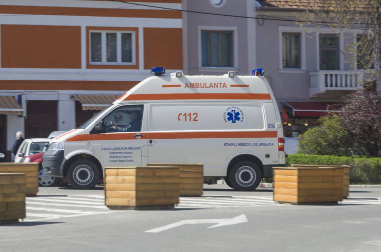 Sokan lettek rosszul darázscsípésektől
