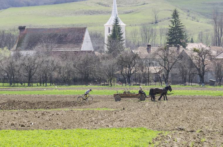 Mezőgazdasági támogatások igénylése: újabb három hét halasztás