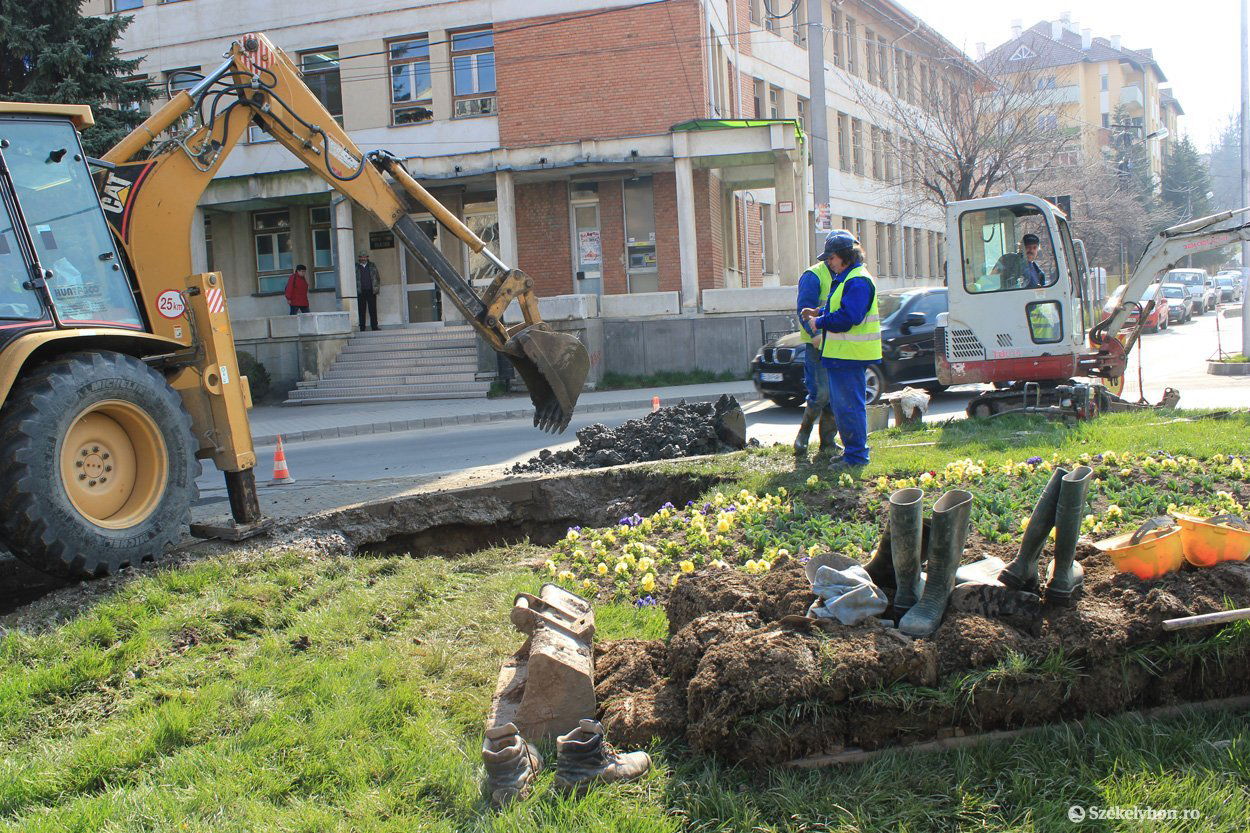 • Fotó: Farkas Antal