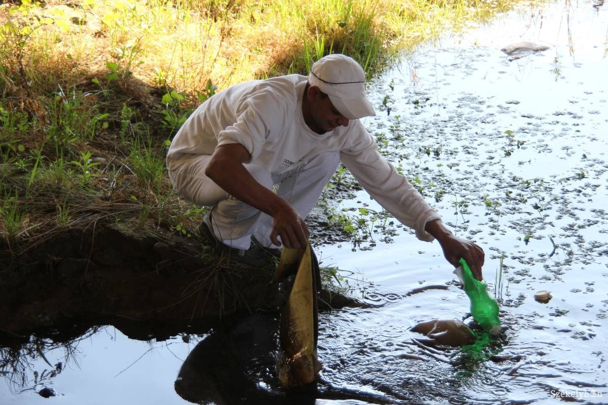 &bullet;  Fotó: Simon Eszter