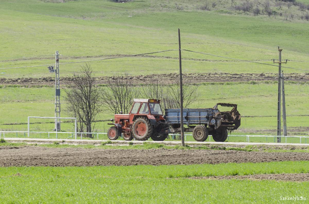 • Fotó: Veres Nándor
