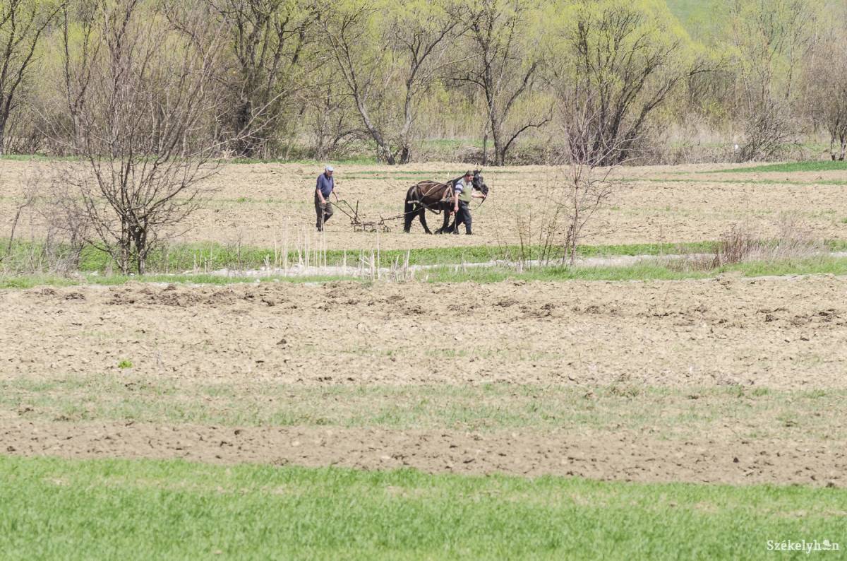 Lemaradás. Infrastrukturális és gazdasági szempontból lenne mit behoznia Hargita megyének. Képünk illusztráció •  Fotó: Veres Nándor