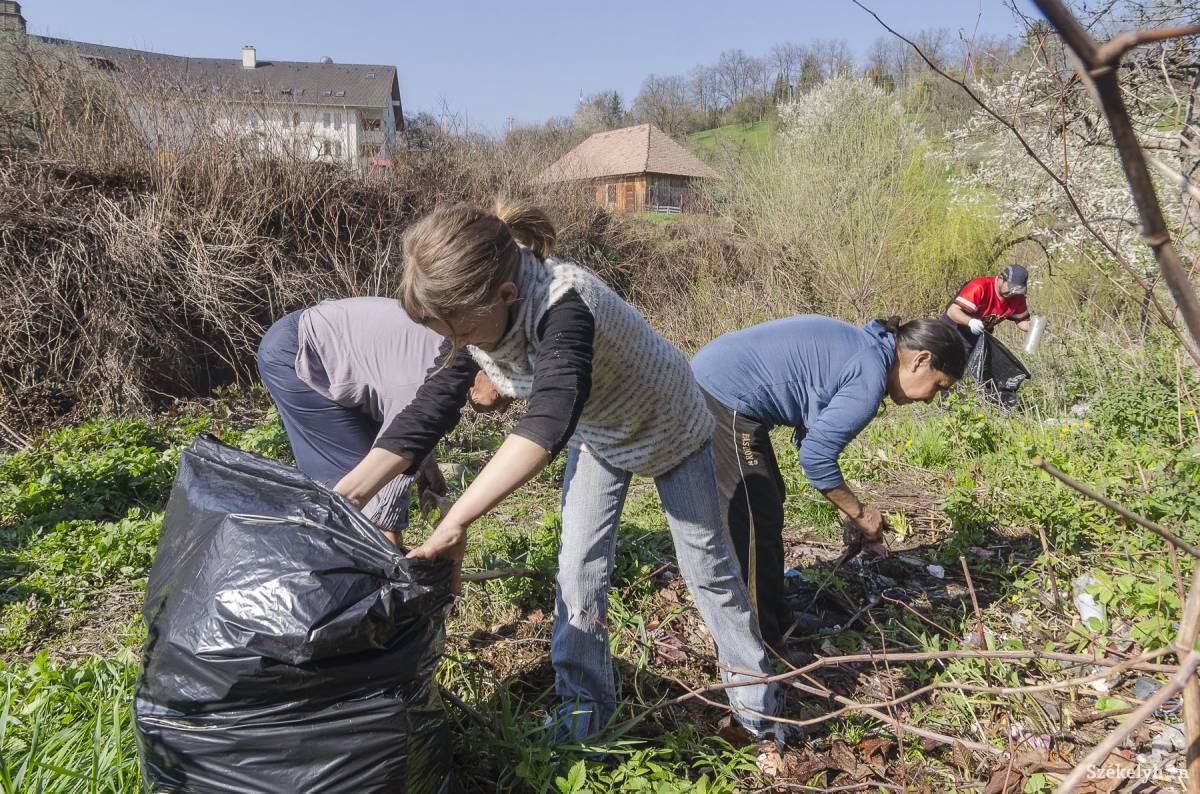 Illusztráció • Fotó: Veres Nándor