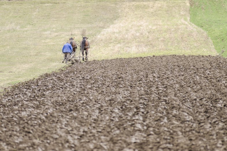 Mezőgazdasági támogatáselőlegek kiutalása: az országos átlag fölött Hargita megye