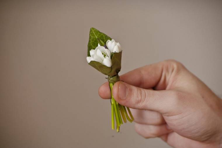 Egyre több a hóvirágárus