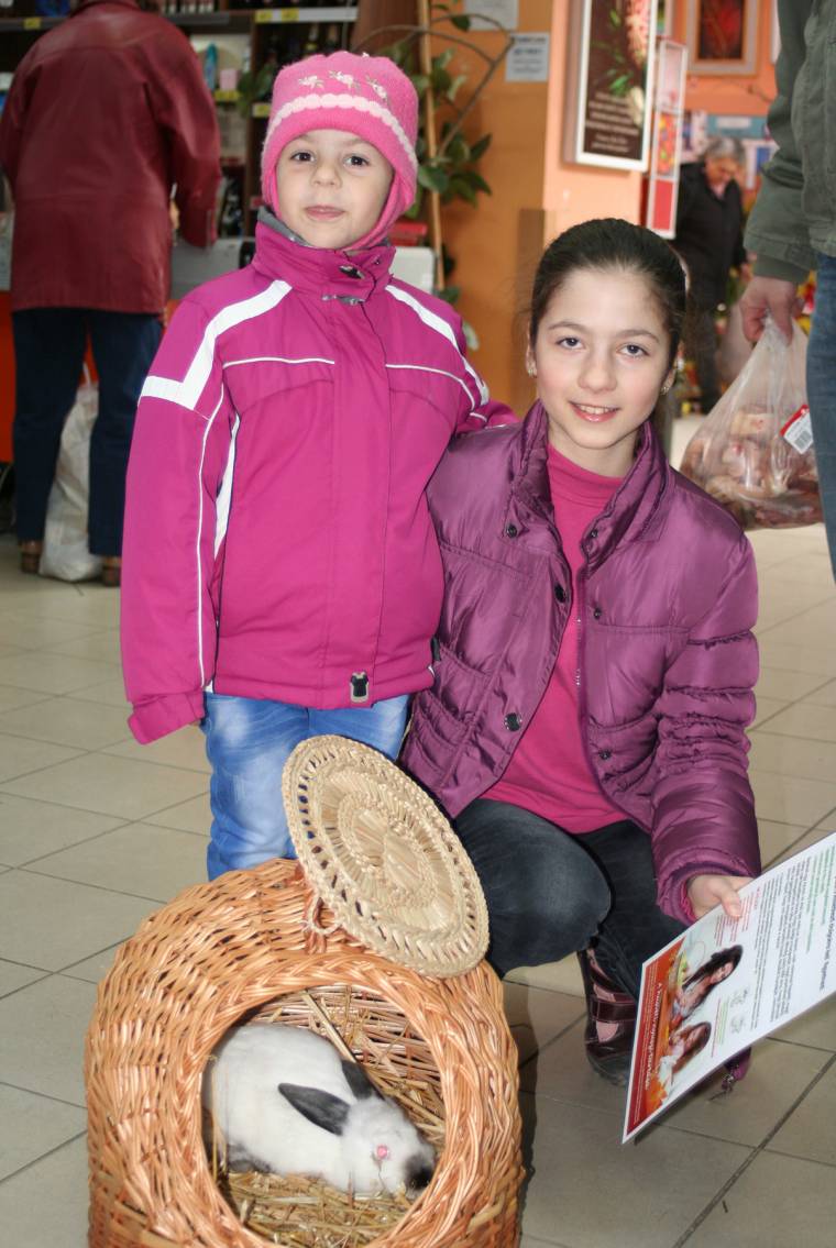 Nyolc húsvéti nyuszi talált gazdára