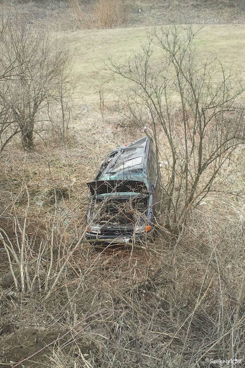 • Fotó: Pál Gábor