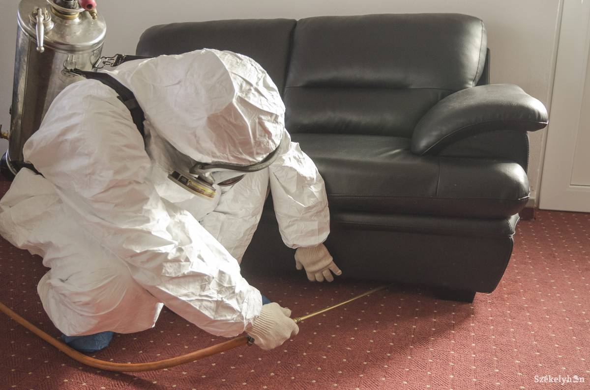 • Fotó: Veres Nándor