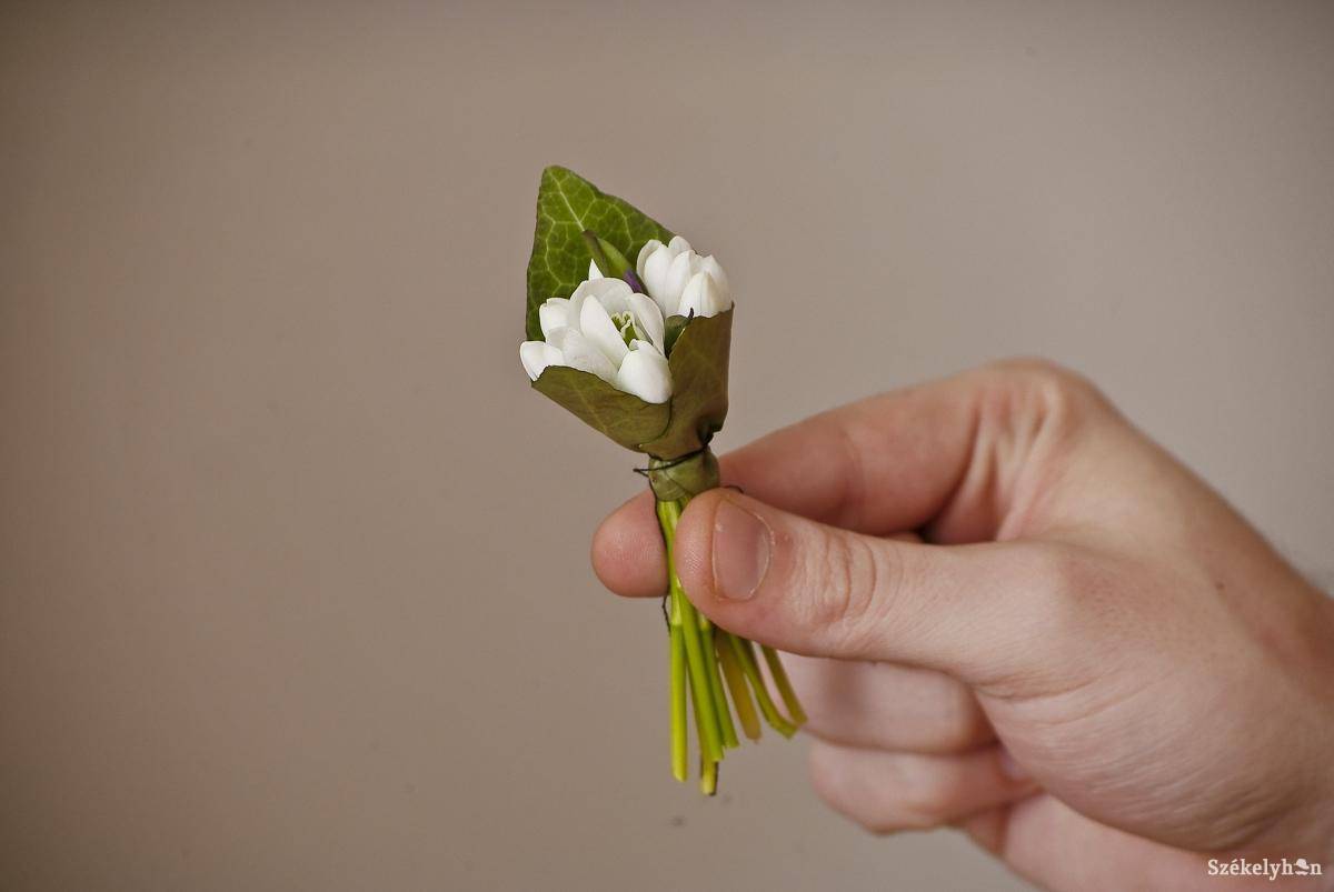 • Fotó: Veres Nándor