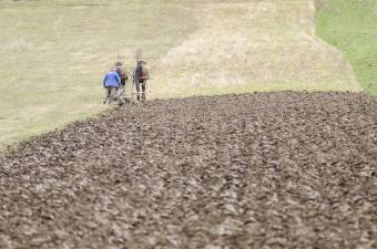 Mezőgazdasági támogatáselőlegek kiutalása: az országos átlag fölött Hargita megye