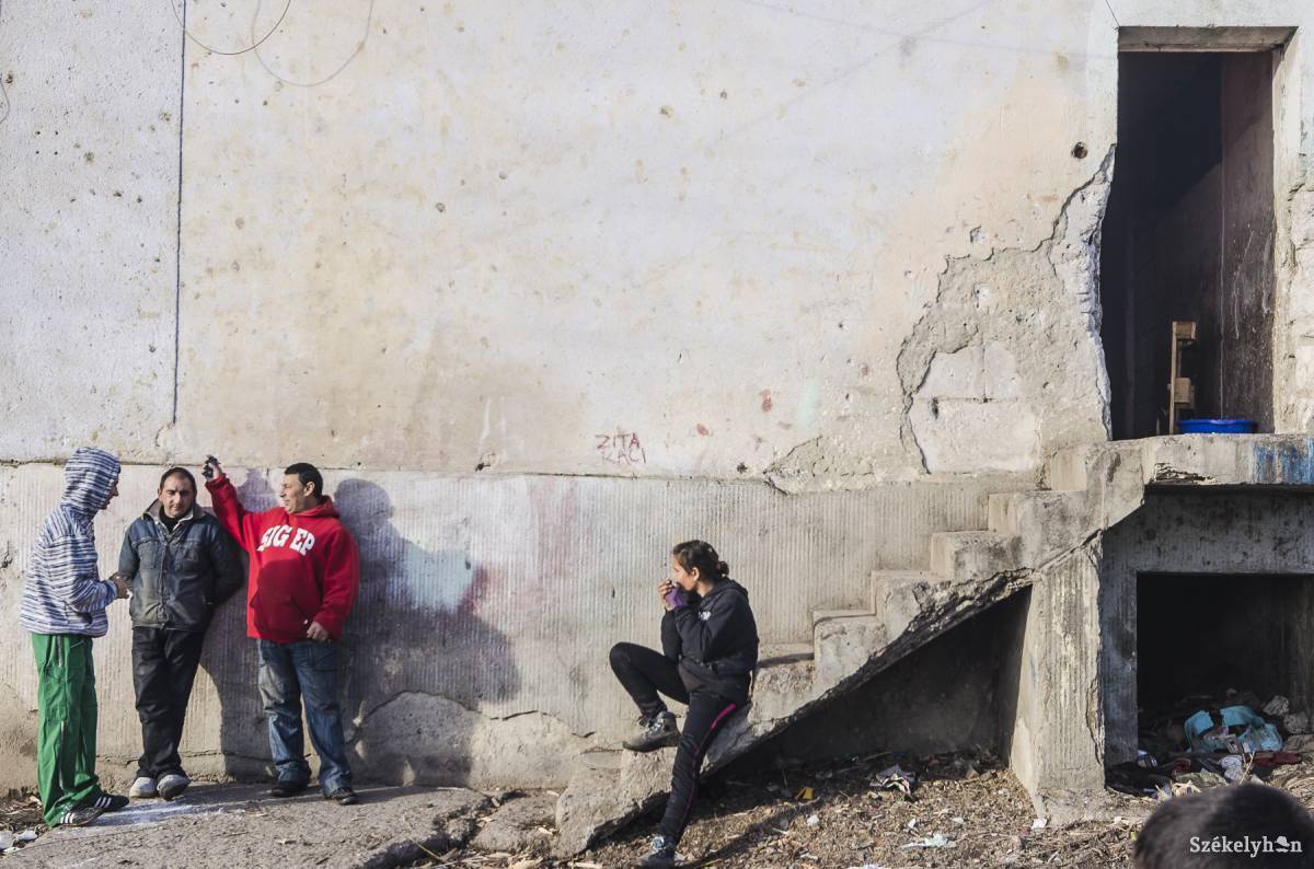 • Fotó: Veres Nándor