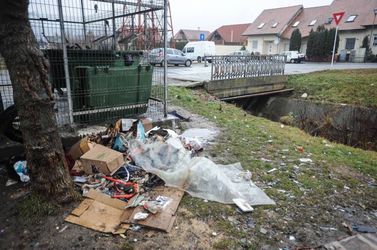 Az élhető Udvarhelyért dolgoznak