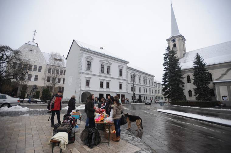 Jótékony játékvásár a Patkóban