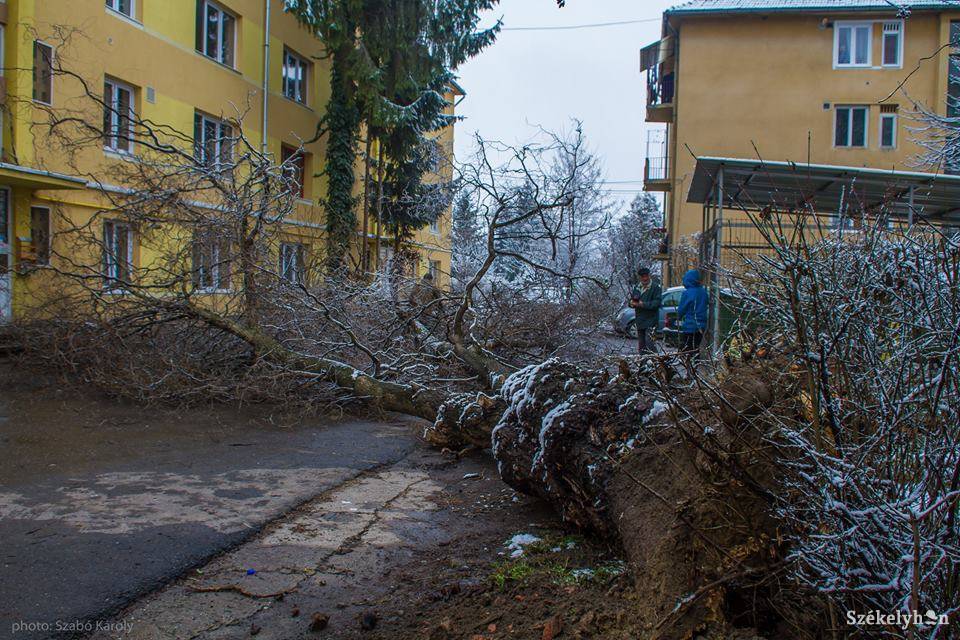 &bullet;  Fotó: Szabó Károly