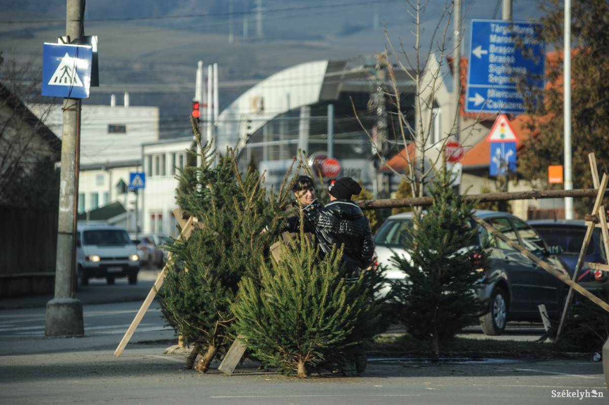 &bullet;  Fotó: Thomas Campean